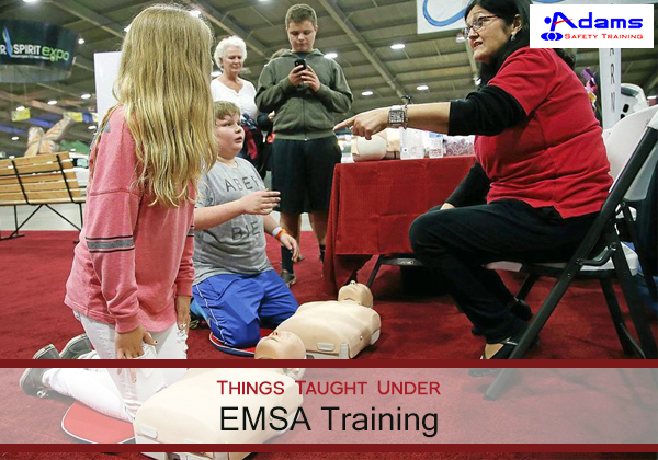 EMSA Training