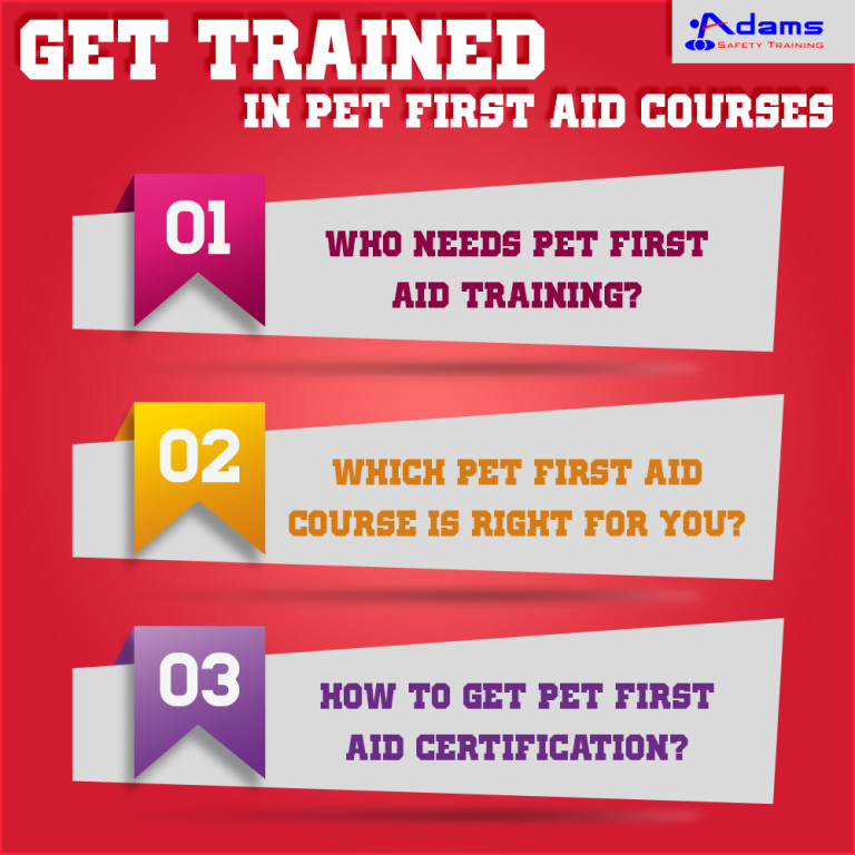 Get trained in Pet First Aid Courses