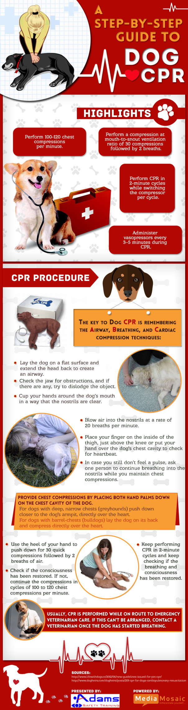 can a dog really perform cpr