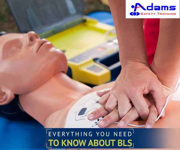 BLS Certification Classes