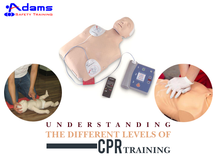 Cpr Adam CPR-Training-adams-safety | Adams Safety Training
